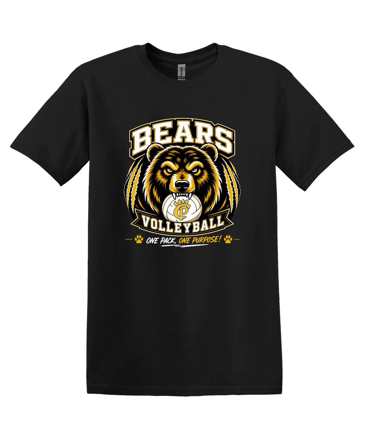 Bears Volleyball Design 60