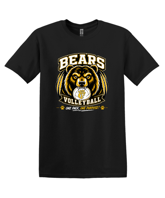 Bears Volleyball Design 60