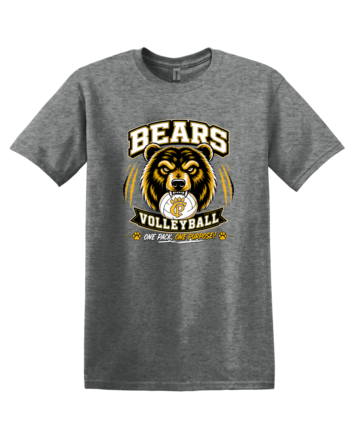 Bears Volleyball Design 60